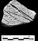 Resíduo orgânico datado de cerca de 3.500 a.C. nas montanhas do Iraque, identificado com cerveja calcificada. 